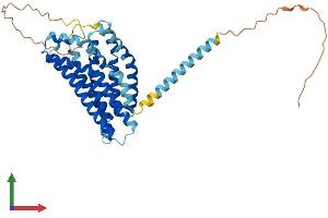 Protein Structure (PS) image for G Protein-Coupled Receptor 132 (GPR132) (AA 1-380) protein (His tag) (ABIN7554043)