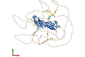 AlphaFold protein structure predicition of Mouse Recombinant Sgip1 Protein, UniprotID Q8VD37 (SGIP1 Protein (AA 1-806) (His tag))