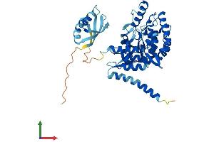AlphaFold protein structure predicition of Mouse Recombinant Tph1 Protein, UniprotID P17532