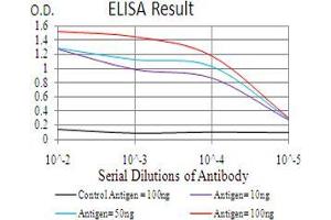 Black line: Control Antigen (100 ng), Purple line: Antigen(10 ng), Blue line: Antigen (50 ng), Red line: Antigen (100 ng), (CBX6 antibody  (AA 269-412))