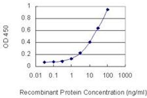 Detection limit for recombinant GST tagged PTPRO is 0. (PTPRO antibody  (AA 1-597))