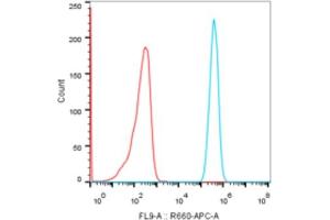 Flow cytometry: Raji cells were stained with Rabbit IgG isotype control (, 1 μg/mL, Red line) or CD70 Rabbit mAb (ABIN7266215, 1 μg/mL Blue line), followed by goat anti-Rabbit pAb APC (1:200 dilution) staining . (CD70 antibody)