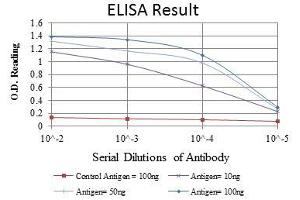 Red: Control Antigen (100 ng), Purple: Antigen (10 ng), Green: Antigen (50 ng), Blue: Antigen (100 ng), (MSI1 antibody)