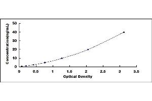 Typical standard curve (CHSY1 ELISA Kit)