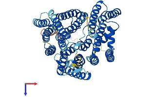 AlphaFold protein structure predicition of Human Recombinant DOLK Protein, UniprotID Q9UPQ8