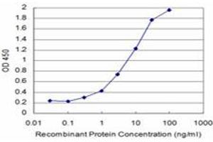 Detection limit for recombinant GST tagged SRPK1 is approximately 0. (SRPK1 antibody  (AA 371-470))