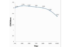 Antigen: 0. (EV71 3D antibody)