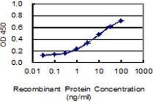 Detection limit for recombinant GST tagged CHL1 is 0. (CHL1 antibody  (AA 26-135))