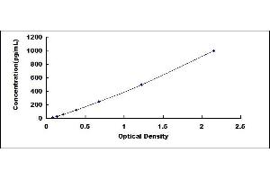 Typical standard curve (Cytokeratin 5 ELISA Kit)