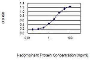 Detection limit for recombinant GST tagged NUP133 is 0. (NUP133 antibody  (AA 1069-1155))