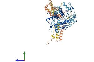 AlphaFold protein structure predicition of Human Recombinant ZNF596 Protein, UniprotID Q8TC21