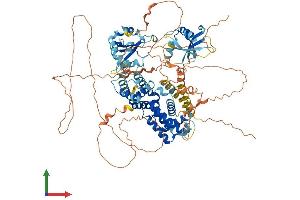 AlphaFold protein structure predicition of Mouse Recombinant Rin2 Protein, UniprotID Q9D684 (RIN2 Protein (AA 1-903) (His tag))