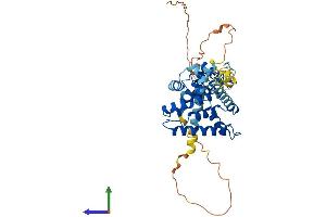 Protein Structure (PS) image for Nuclear Receptor Subfamily 2, Group E, Member 3 (NR2E3) (AA 1-410) protein (His tag) (ABIN7549924)