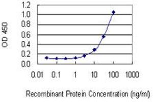 Detection limit for recombinant GST tagged AMACR is 1 ng/ml as a capture antibody. (AMACR antibody  (AA 1-198))