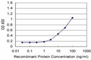 Detection limit for recombinant GST tagged EIF3S3 is approximately 1ng/ml as a capture antibody. (EIF3H antibody  (AA 152-250))