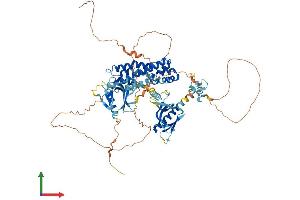 AlphaFold protein structure predicition of Mouse Recombinant Fgd3 Protein, UniprotID O88842