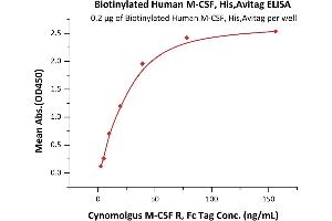 Immobilized Biotinylated Human M-CSF, His,Avitag (ABIN6386447,ABIN6388276) at 2 μg/mL (100 μL/well) on streptavidin precoated (0.