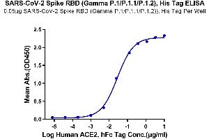 Immobilized SARS-CoV-2 Spike RBD (Gamma P. (SARS-CoV-2 Spike Protein (P.1 - gamma, RBD) (His tag))