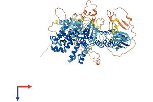 AlphaFold protein structure predicition of Mouse Recombinant Nlrp1b Protein, UniprotID Q2LKV2 (NLR Family, Pyrin Domain Containing 1B (NLRP1B) (AA 1-906) protein (His tag))