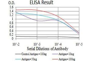 Black line: Control Antigen (100 ng);Purple line: Antigen (10ng); Blue line: Antigen (50 ng); Red line:Antigen (100 ng) (ARF1 antibody  (AA 76-182))