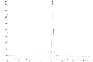 The purity of Mouse PSMP is greater than 95 % as determined by SEC-HPLC.