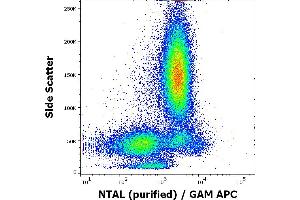 Flow cytometry intracellular staining pattern of human peripheral whole blood using anti-NTAL (NAP-07) purified antibody (concentration in sample 9 μg/mL, GAM APC).