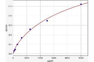 Typical standard curve (HPSE ELISA Kit)