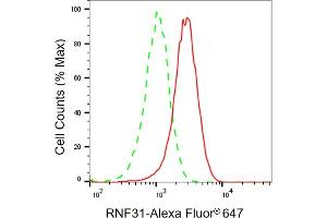 Flow cytometric analysis of RNF31 expression in HT- cells using RNF31 antibody (ABIN7800250), 1:2,000). (RNF31 antibody)