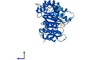 AlphaFold protein structure predicition of Human Recombinant FBXL8 Protein, UniprotID Q96CD0
