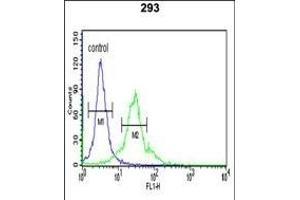 SPHK1 Antibody (C-term ) (ABIN652302 and ABIN2837969) flow cytometric analysis of 293 cells (right histogram) compared to a negative control cell (left histogram). (SPHK1 antibody  (C-Term))
