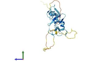 Protein Structure (PS) image for Cysteine and Glycine-Rich Protein 3 (CSRP3) (AA 1-194) protein (His tag) (ABIN7563362)