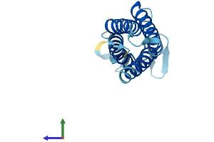 AlphaFold protein structure predicition of Human Recombinant EMP1 Protein, UniprotID P54849 (EMP1 Protein (AA 1-157) (His tag))