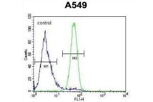 Flow Cytometry (FACS) image for anti-Follistatin-Like 1 (FSTL1) antibody (ABIN2995700) (FSTL1 antibody)