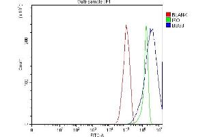 anti-Tetratricopeptide Repeat Domain 8 (TTC8) (AA 271-533) antibody