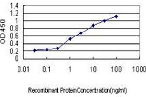 Detection limit for recombinant GST tagged GLRX is approximately 0. (Glutaredoxin 1 antibody  (AA 1-106))