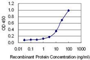 Detection limit for recombinant GST tagged CUX2 is 0. (CUX2 antibody  (AA 121-220))