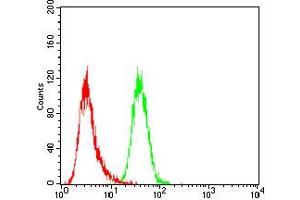 Flow Cytometry (FACS) image for anti-Janus Kinase 2 (JAK2) (AA 745-955) antibody (ABIN5542629)