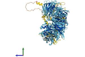 AlphaFold protein structure predicition of Human Recombinant NWD1 Protein, UniprotID Q149M9