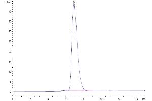 The purity of Human CEACAM-6 is greater than 95 % as determined by SEC-HPLC.
