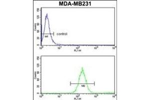 SKIV2L2 Antibody (Center) (ABIN652687 and ABIN2842458) flow cytometry analysis of MDA-M cells (bottom histogram) compared to a negative control cell (top histogram). (MTR4 antibody  (AA 237-263))
