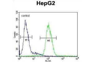 Flow Cytometry (FACS) image for anti-Ceruloplasmin (Ferroxidase) (CP) antibody (ABIN3003152) (Ceruloplasmin antibody)