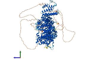 AlphaFold protein structure predicition of Human Recombinant STAG2 Protein, UniprotID Q8N3U4 (STAG2 Protein (AA 1-1231) (His tag))
