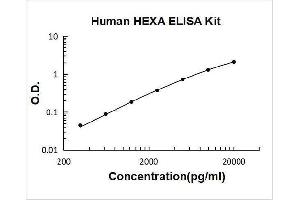 Hexosaminidase A (HEXA) ELISA Kit