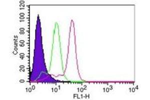 Caspase 8 Flow Cytometry Flow Cytometry of Mouse Anti-Caspase-8 antibody. (Caspase 8 antibody)