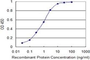 Detection limit for recombinant GST tagged FGD3 is 0. (FGD3 antibody  (AA 83-173))