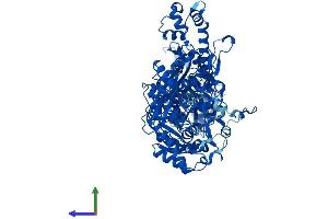 Protein Structure (PS) image for Methylenetetrahydrofolate Dehydrogenase (NADP+ Dependent) 1, Methenyltetrahydrofolate Cyclohydrolase, Formyltetrahydrofolate Synthetase (MTHFD1) (AA 1-935) protein (His tag) (ABIN7552751)