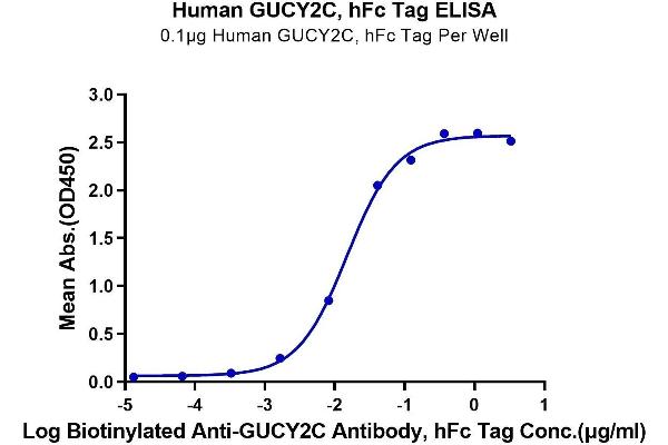 GUCY2C Protein (AA 24-430) (Fc Tag)