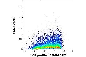 Flow cytometry intracellular staining pattern of human sperm cells stained using anti-VCP (Hs-14) purified antibody (concentration in sample 9 μg/mL) GAM APC. (VCP antibody)