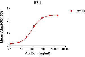 ELISA plate pre-coated by 2 μg/mL (100 μL/well) Human B7-1 protein, hFc tagged protein ((ABIN6961158, ABIN7042345 and ABIN7042346)) can bind Rabbit anti-B7-1 monoclonal antibody(clone: DM109) in a linear range of 0. (CD80 antibody  (AA 35-242))