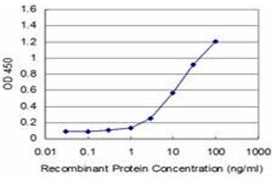 Detection limit for recombinant GST tagged EN1 is approximately 1ng/ml as a capture antibody. (EN1 antibody  (AA 266-392))